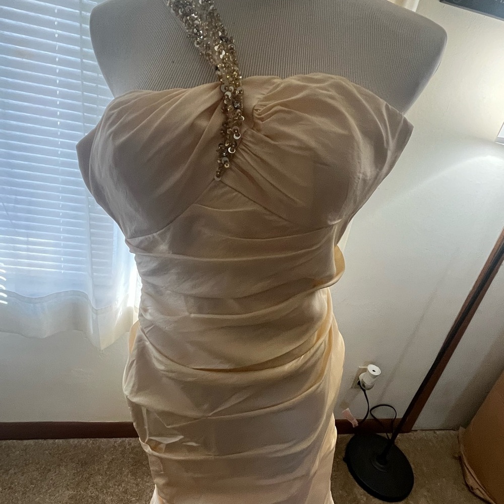Elegant Cream Strapless David's bridal gown - Picture 6 of 8